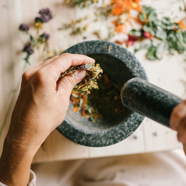 Herbal Approach to Wellness