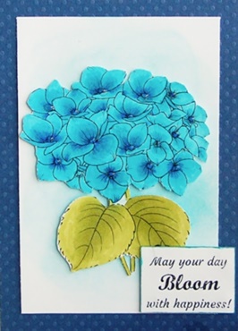 Coloring and Shading Blue Hydrangeas